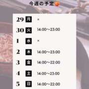 ヒメ日記 2026/06/28 08:03 投稿 白野えいな 錦糸町快楽M性感倶楽部～前立腺マッサージ専門～