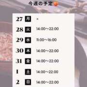 白野えいな 🍑7/27～8/2の予定🍑 錦糸町快楽M性感倶楽部～前立腺マッサージ専門～