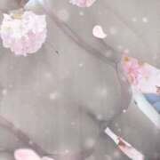 ヒメ日記 2025/04/08 10:10 投稿 上原　さくら ドクトル・ストレッチ