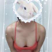 ヒメ日記 2025/05/15 10:10 投稿 上原　さくら ドクトル・ストレッチ