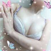 ヒメ日記 2025/06/19 10:10 投稿 上原　さくら ドクトル・ストレッチ