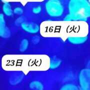 ヒメ日記 2025/08/29 23:40 投稿 上原　さくら ドクトル・ストレッチ