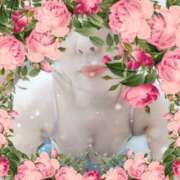 ヒメ日記 2025/10/16 10:10 投稿 上原　さくら ドクトル・ストレッチ