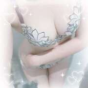 ヒメ日記 2026/04/14 10:06 投稿 むぎ 千葉人妻セレブリティ（ユメオト）