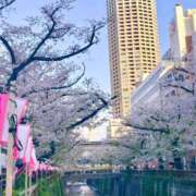 ヒメ日記 2025/04/09 17:35 投稿 くるみ 人妻・若妻デリヘル レディプレイス