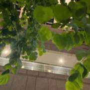 ヒメ日記 2025/07/10 23:29 投稿 くるみ 人妻・若妻デリヘル レディプレイス