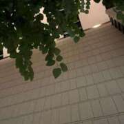 ヒメ日記 2025/07/20 21:33 投稿 くるみ 人妻・若妻デリヘル レディプレイス