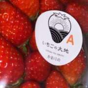 ヒメ日記 2025/03/14 12:39 投稿 まや ダイスキ