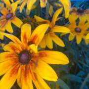 ヒメ日記 2025/07/16 21:59 投稿 まや ダイスキ