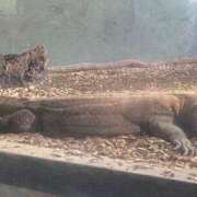 ヒメ日記 2025/09/19 19:46 投稿 まや ダイスキ