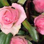 ヒメ日記 2025/09/26 22:22 投稿 まや ダイスキ