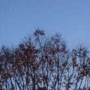 ヒメ日記 2025/12/01 01:24 投稿 まや ダイスキ