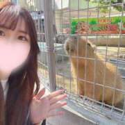 『こはく』水も滴るいい女♡ 💚ビビり💚 ESSENCE