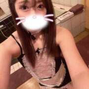 ヒメ日記 2024/12/13 19:02 投稿 ゆりね お姉京都