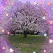 ヒメ日記 2026/04/10 20:11 投稿 新人 みのりｻﾝ De愛急行 栗東インター店