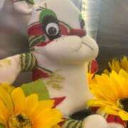 ヒメ日記 2025/07/26 16:17 投稿 つむぎ ごほうびSPA仙台店