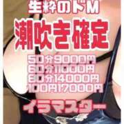 ヒメ日記 2025/12/21 20:10 投稿 あかり 多恋人倶楽部（山口）