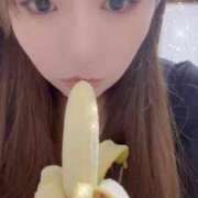 ヒメ日記 2024/12/19 21:22 投稿 りま 白いぽっちゃりさん