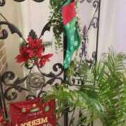 ヒメ日記 2025/12/02 23:32 投稿 りま 白いぽっちゃりさん