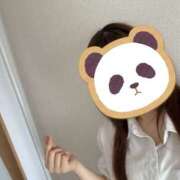 ヒメ日記 2025/06/28 16:54 投稿 もか 新潟風俗 Cherish Amulet