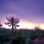 ヒメ日記 2025/04/23 14:21 投稿 まひる 木更津人妻花壇