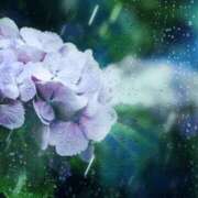 ヒメ日記 2025/06/28 15:13 投稿 まひる 木更津人妻花壇