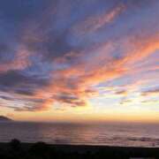 ヒメ日記 2025/07/08 05:49 投稿 まひる 木更津人妻花壇