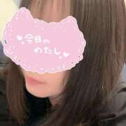 ヒメ日記 2025/11/17 22:56 投稿 まひる 木更津人妻花壇