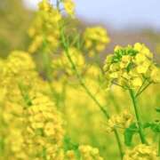 ヒメ日記 2026/02/21 16:12 投稿 まひる 木更津人妻花壇