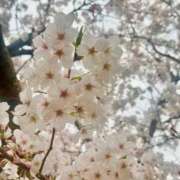 ヒメ日記 2026/04/02 20:18 投稿 まひる 木更津人妻花壇