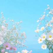 まひる お知らせ🕊 木更津人妻花壇