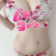 ヒメ日記 2025/10/31 17:18 投稿 あるは PHANTOM(ファントム)