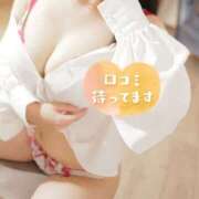 ヒメ日記 2025/11/05 19:38 投稿 あるは PHANTOM(ファントム)