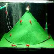 ヒメ日記 2024/12/17 00:28 投稿 ほのか 宮城大崎古川ちゃんこ