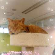 ヒメ日記 2025/01/19 23:48 投稿 ほのか 宮城大崎古川ちゃんこ