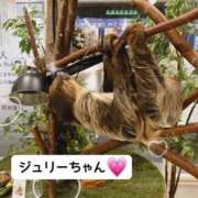 ヒメ日記 2025/02/03 10:44 投稿 ほのか 宮城大崎古川ちゃんこ