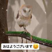 ヒメ日記 2025/02/05 08:08 投稿 ほのか 宮城大崎古川ちゃんこ