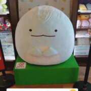 ヒメ日記 2025/02/06 08:18 投稿 ほのか 宮城大崎古川ちゃんこ