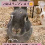 ヒメ日記 2025/02/07 08:18 投稿 ほのか 宮城大崎古川ちゃんこ