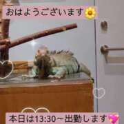 ヒメ日記 2025/02/08 10:48 投稿 ほのか 宮城大崎古川ちゃんこ