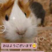 ヒメ日記 2025/02/10 08:18 投稿 ほのか 宮城大崎古川ちゃんこ