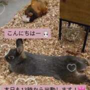 ヒメ日記 2025/02/11 11:18 投稿 ほのか 宮城大崎古川ちゃんこ