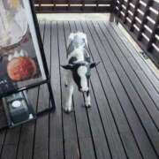 ヒメ日記 2025/05/10 22:58 投稿 ほのか 宮城大崎古川ちゃんこ