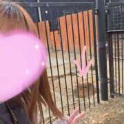 ヒメ日記 2025/11/27 20:28 投稿 ほのか 宮城大崎古川ちゃんこ