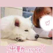 ヒメ日記 2026/06/13 12:08 投稿 ほのか 宮城大崎古川ちゃんこ