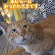 ヒメ日記 2026/09/13 23:08 投稿 ほのか 宮城大崎古川ちゃんこ