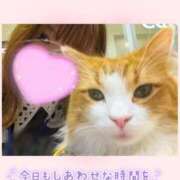 ヒメ日記 2026/09/16 18:38 投稿 ほのか 宮城大崎古川ちゃんこ