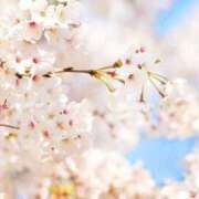 ちあき 春が来る AVANCE福岡