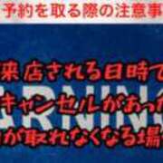 ヒメ日記 2024/03/30 18:12 投稿 もも 英乃國屋