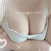 ヒメ日記 2025/05/17 10:00 投稿 ゆかり 大阪和泉ちゃんこ